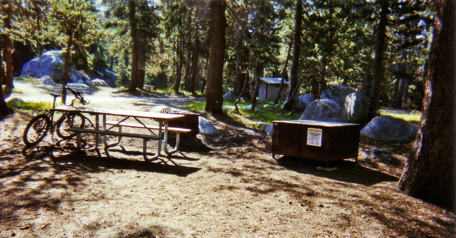 Campground-Bear-Locker
