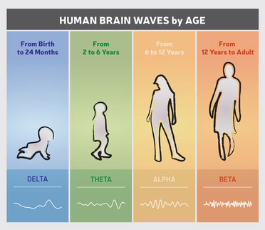 Gehirnwellen vom Baby bis zum Erwachsenen: Delta, Theta, Alpha, Beta.