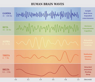 EEG-Darstellung der Wellen: Gamma, Beta, Alpha, Theta, Delta.