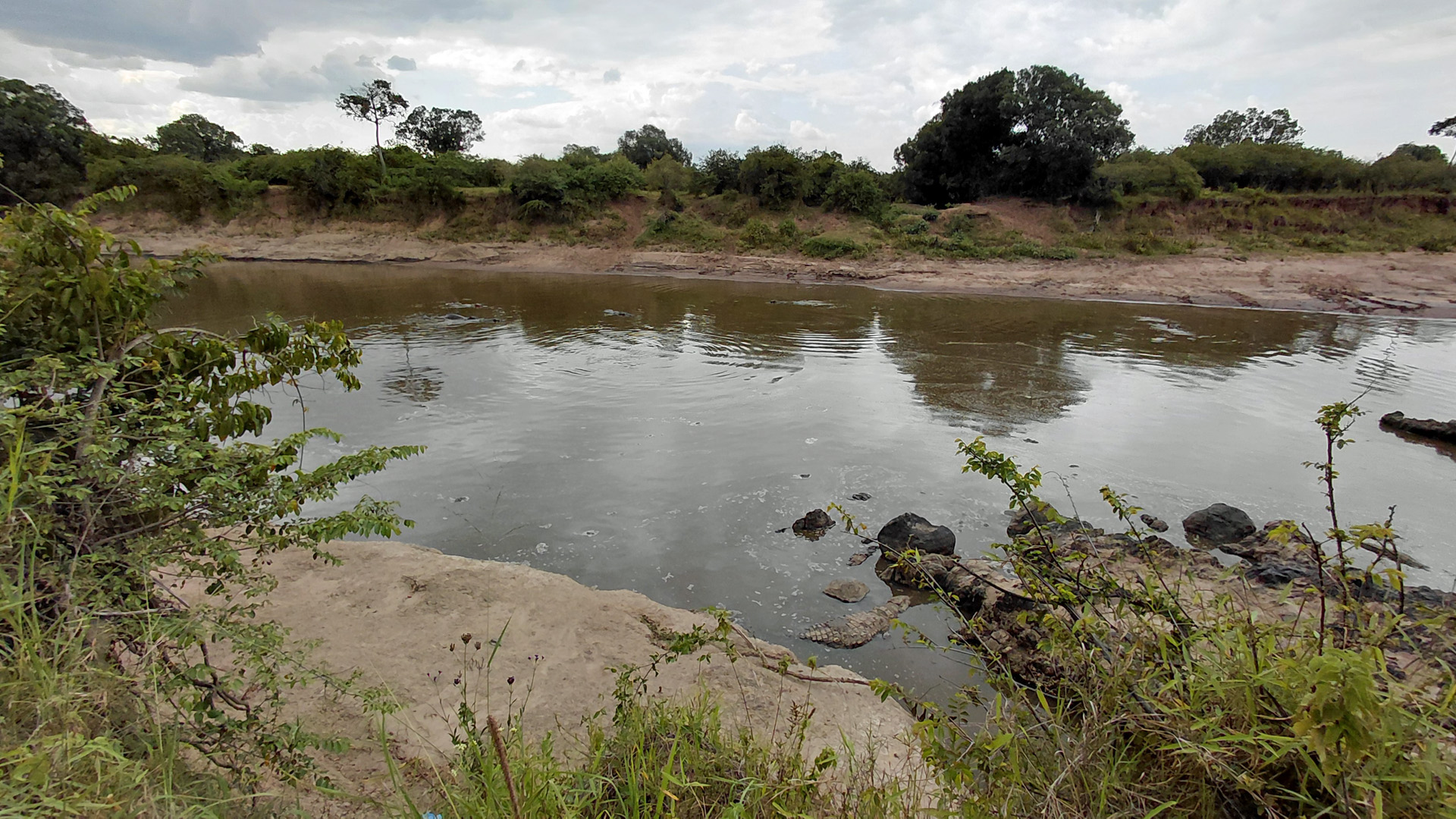 Masai Mara Fluss mit Krokodil und Hippos