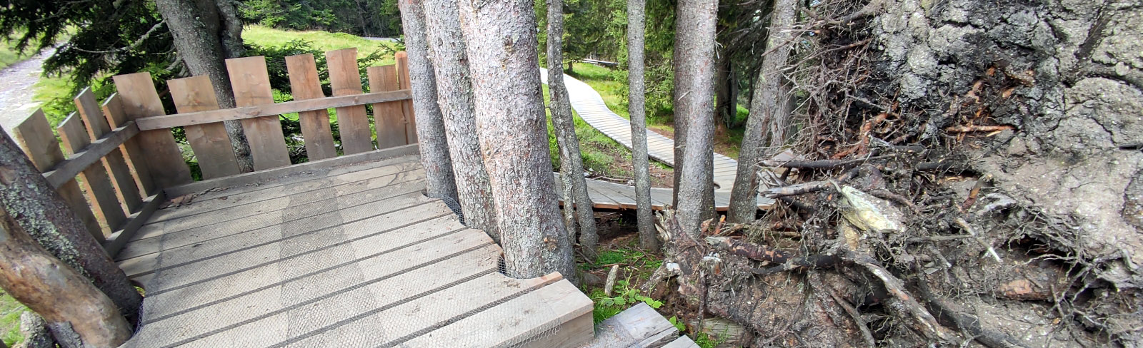 Österreich-Bikepark-Saalbach-Hinterglemm-Leogang