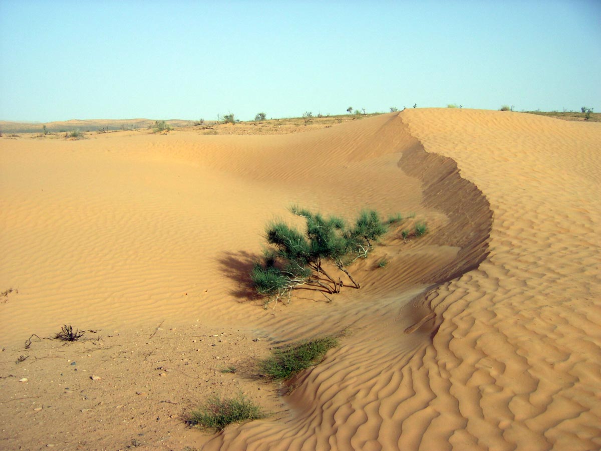 Sand-Dünen