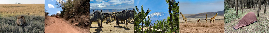Tansania: Sechs Vorschaubilder mit Tieren und Kilimandscharo